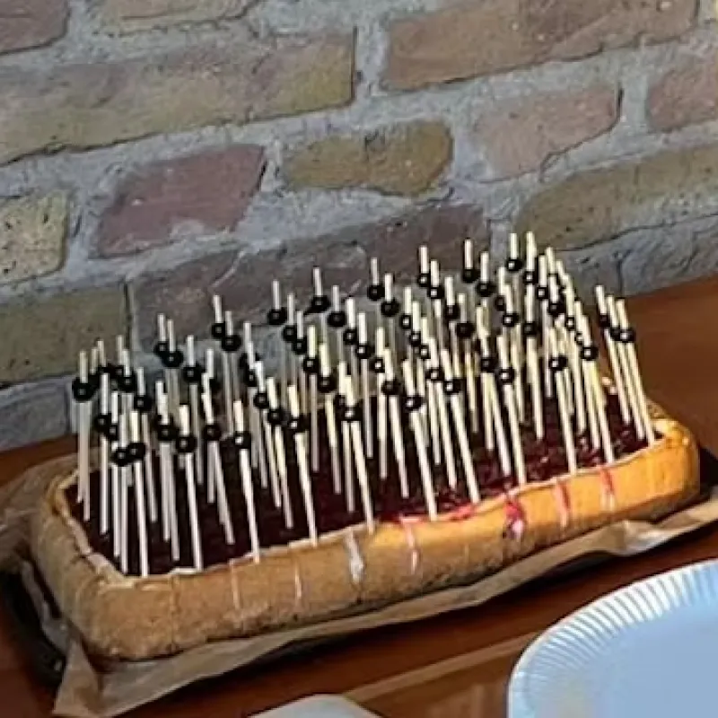 Kuchenstücke