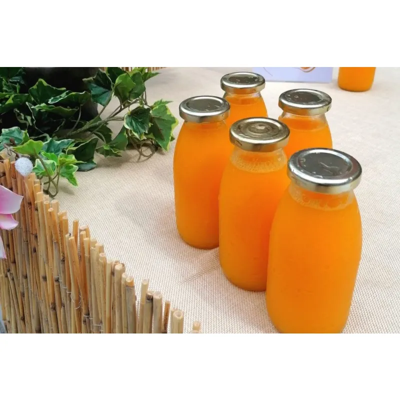 Frisch gepresster Saft - Orange